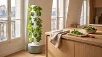 VertiHerbe tower in a bright kitchen