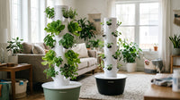 Sage green and black VertiHerbe towers in a living room